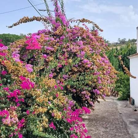 Apartman Quita O Refugio